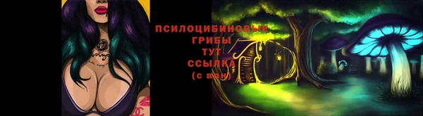 a pvp Абаза