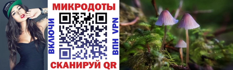 купить наркоту  гидра как войти  Галлюциногенные грибы ЛСД  Саранск 